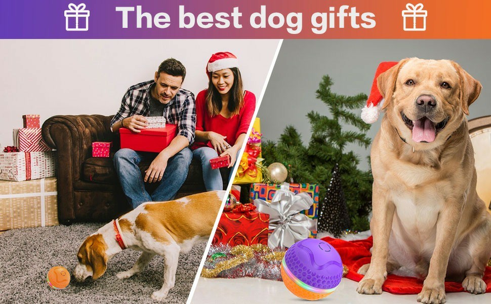 Interactive Dog Toys Ball,