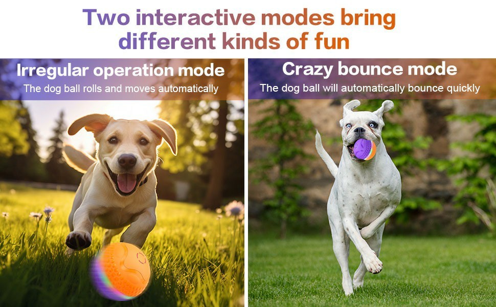 Interactive Dog Toys Ball,