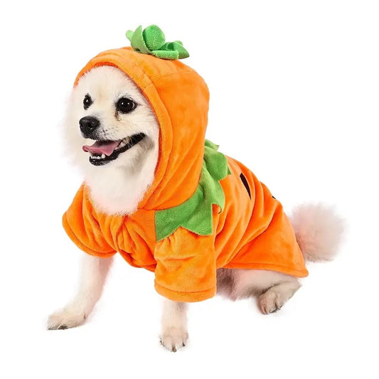 Dog Hoodie Cute Funny Halloween