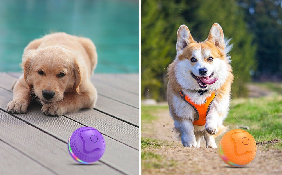 Interactive Dog Toys Ball,