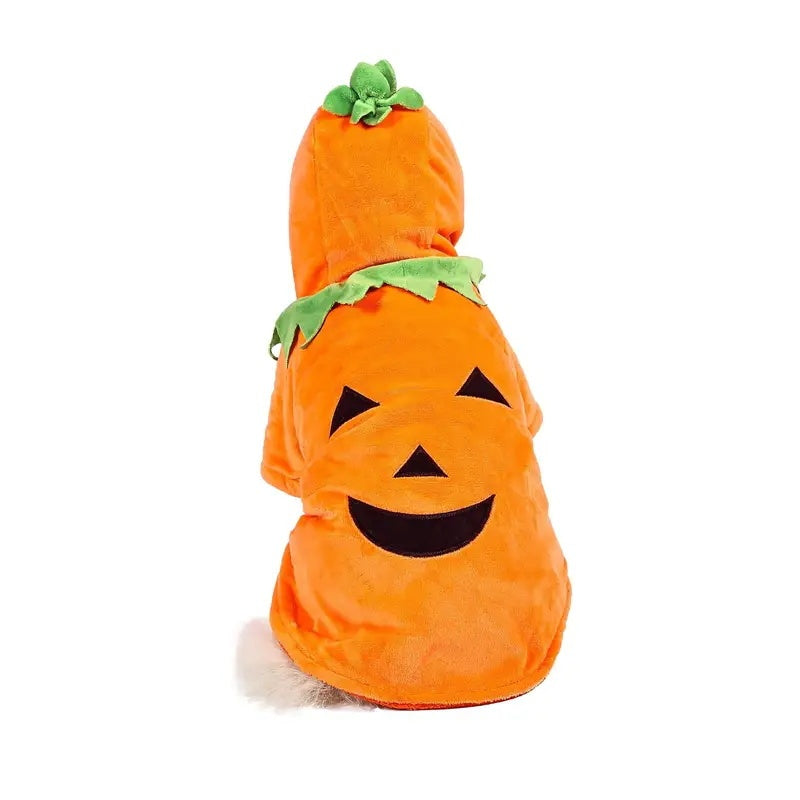 Dog Hoodie Cute Funny Halloween