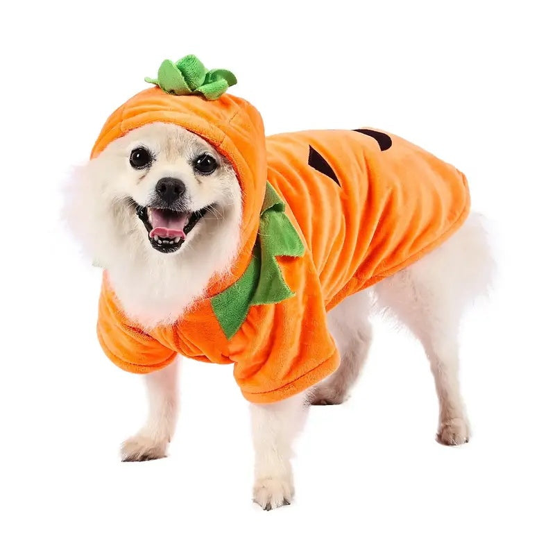 Dog Hoodie Cute Funny Halloween