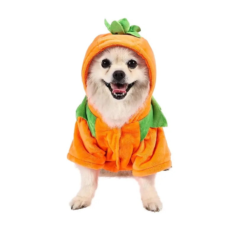 Dog Hoodie Cute Funny Halloween