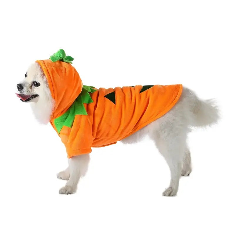 Dog Hoodie Cute Funny Halloween