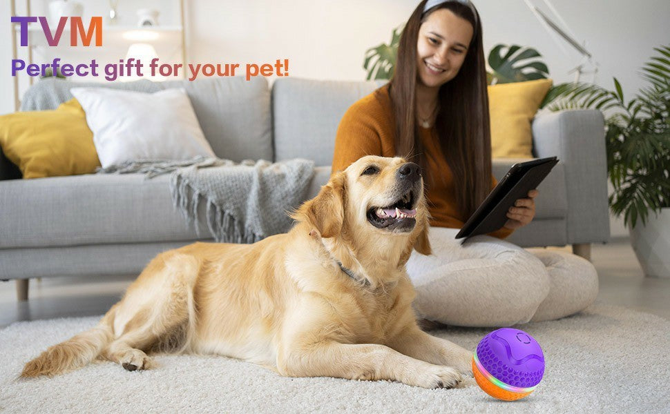 Interactive Dog Toys Ball,