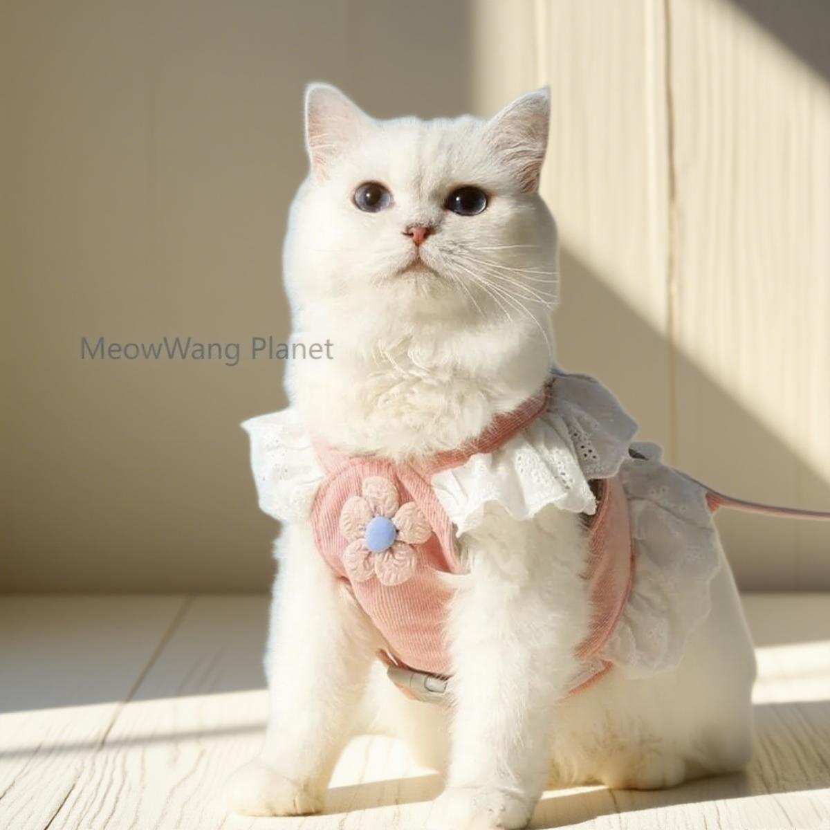 Dog Leash Cat Leash Premium