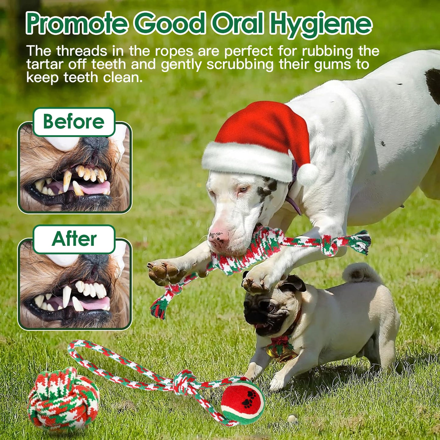 Set Of 5Pcs Christmas Dog Rope