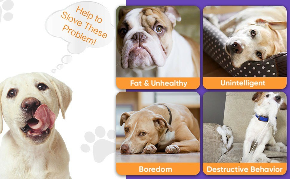 Interactive Dog Toys Ball,