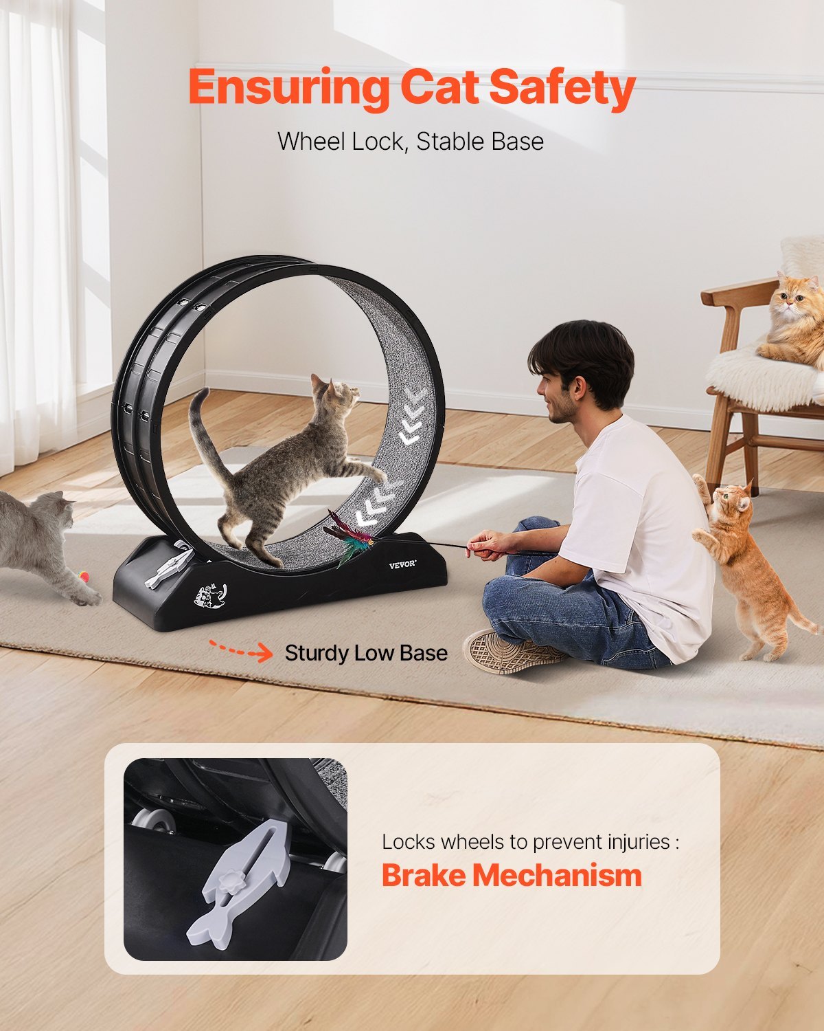 Cat Exercise Wheel 31.5 In Large Indoor Cat Running Wheel Treadmill Black