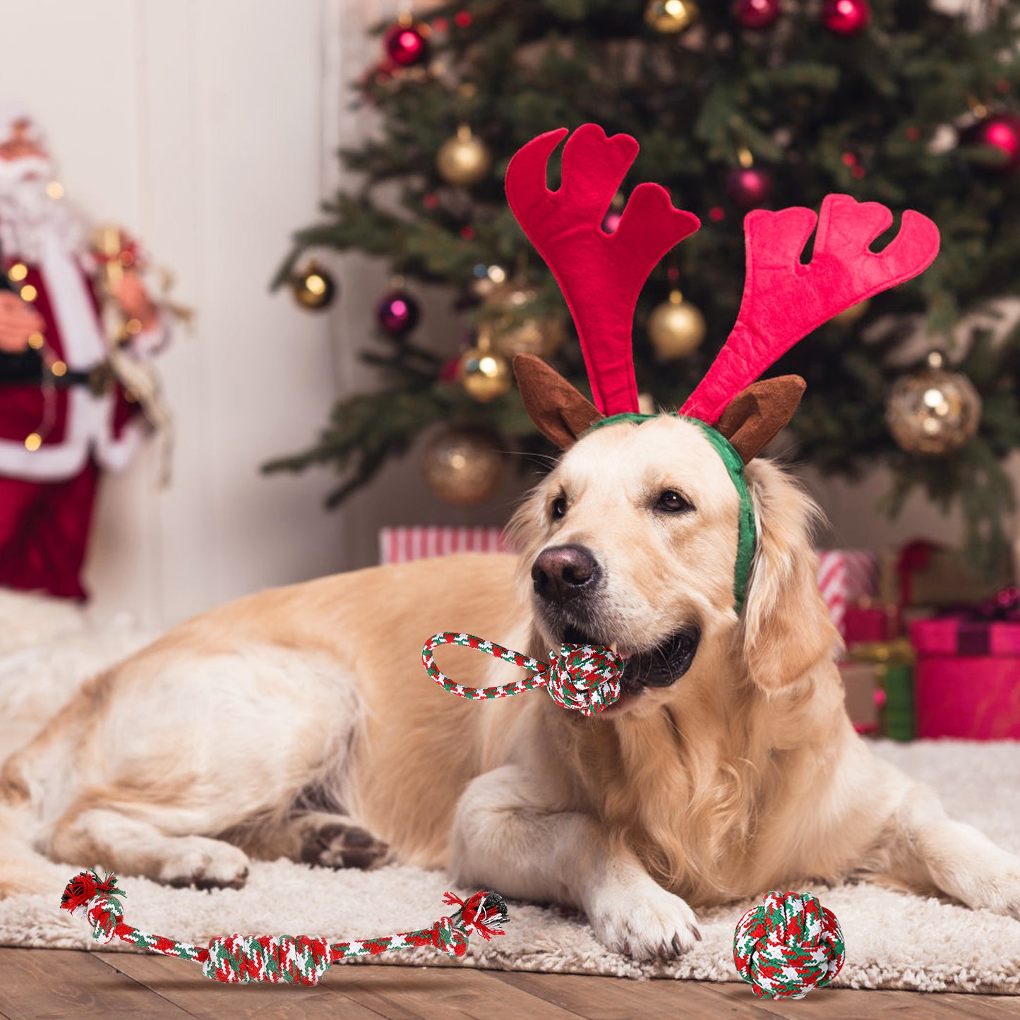 Set Of 5Pcs Christmas Dog Rope